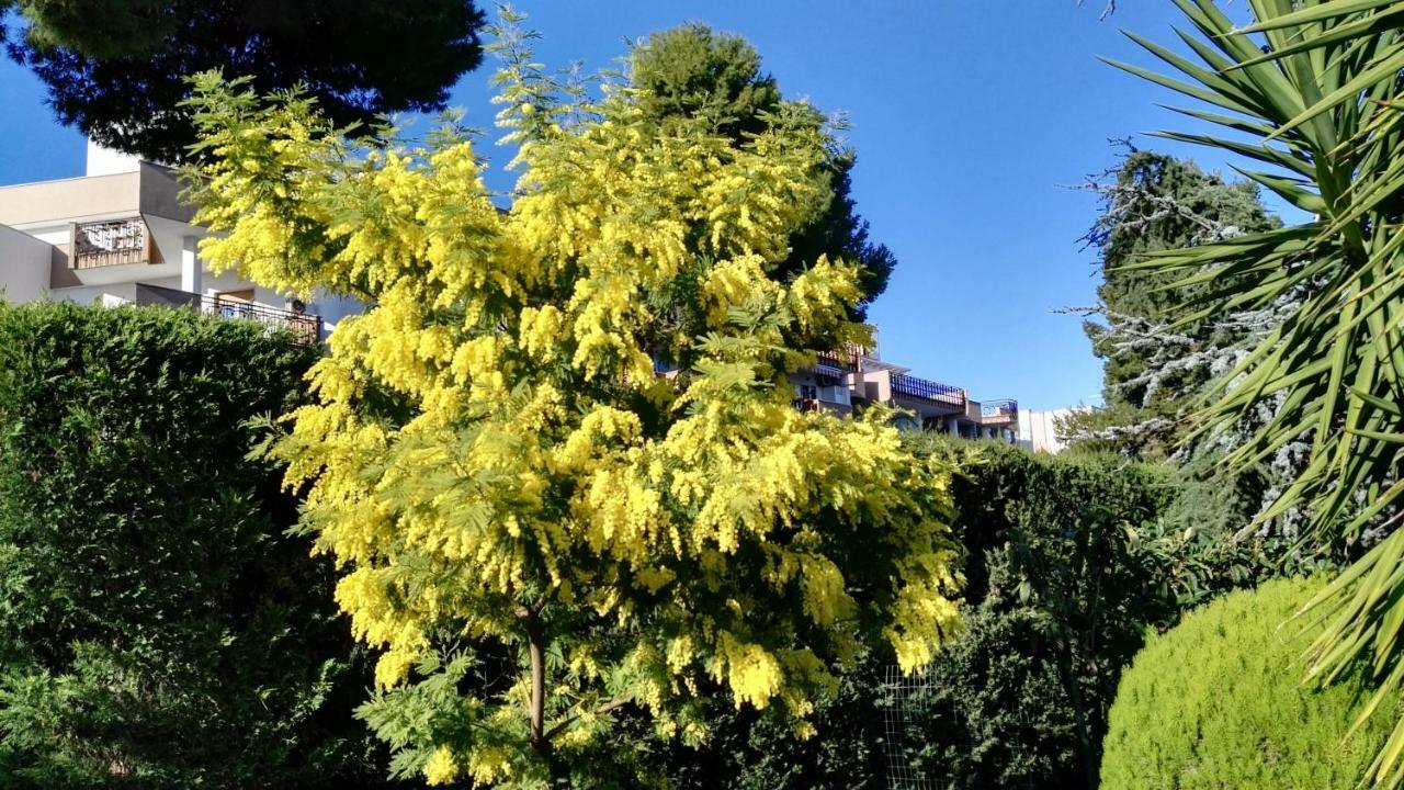 Villa Mary Trani Dış mekan fotoğraf