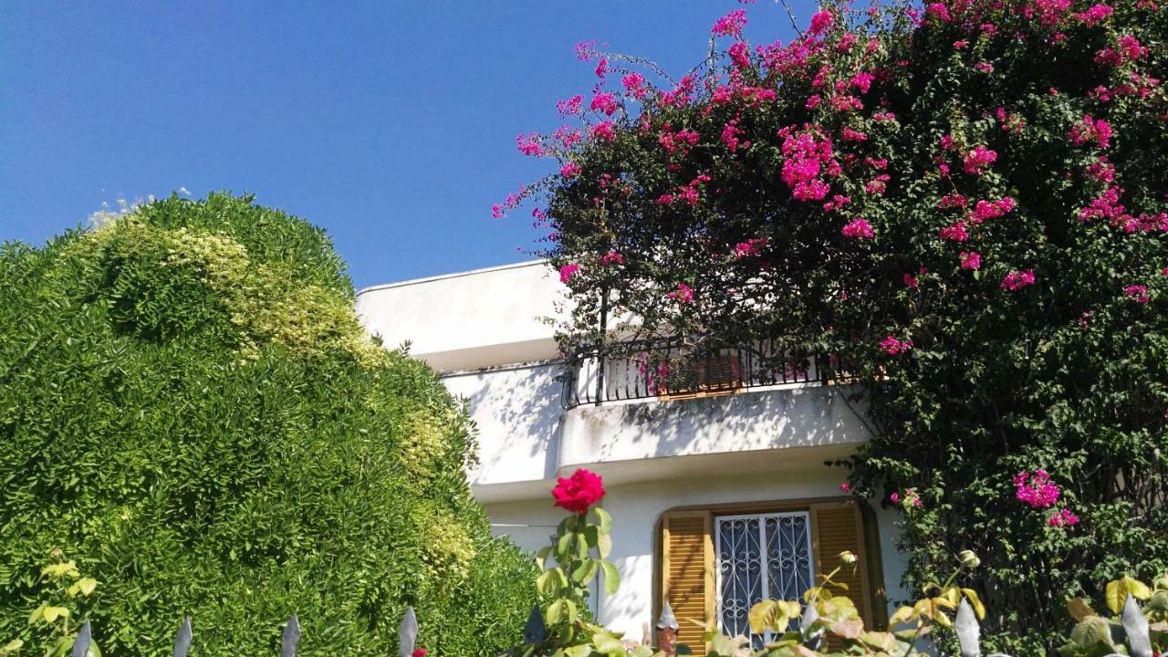 Villa Mary Trani Dış mekan fotoğraf